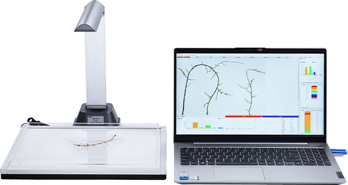 根系分析仪