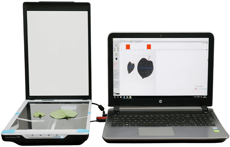 叶片图像分析仪