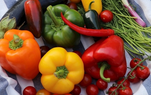 食品安全检测仪在保证食品质量方面有哪些优势