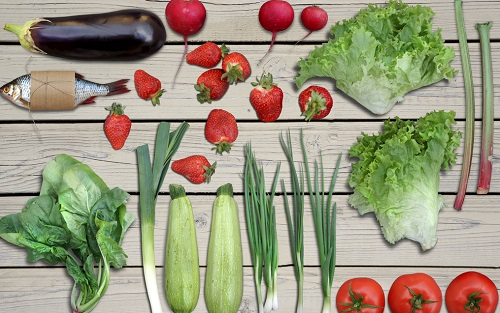 食品安全综合检测仪的应用及特点