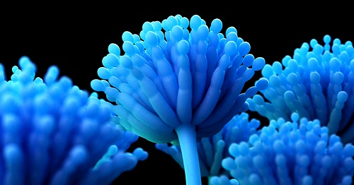 食品安全关乎我们健康，使用仪器快速检测防止不健康的产品