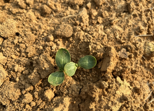 测定土壤碳氮比的意义在于哪里?土壤总有机碳检测仪的原理