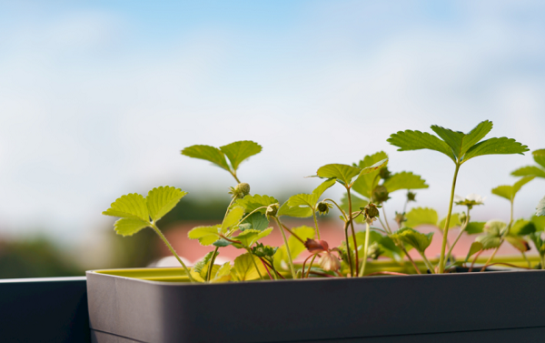想要选择高性价比的土壤养分检测仪器？不妨看看这篇解析