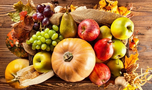 食品安全检测仪靠谱吗？出口贸易的监督者