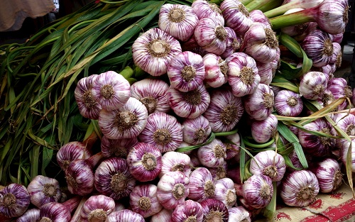 农药残留检测仪怎么样:农药残留检测仪在农贸市场中的应用