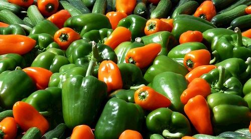 食品安全检测仪作用明显吗?食品安全检测仪作用如何