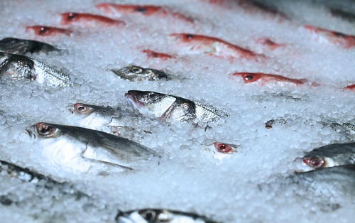 特殊情况下的食品安全综合检测仪对冷冻食品的安全检测