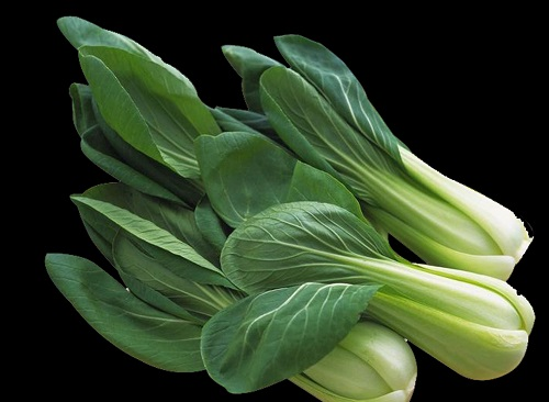 不合格食品风险控制，快速检测仪器可检农药残留超标