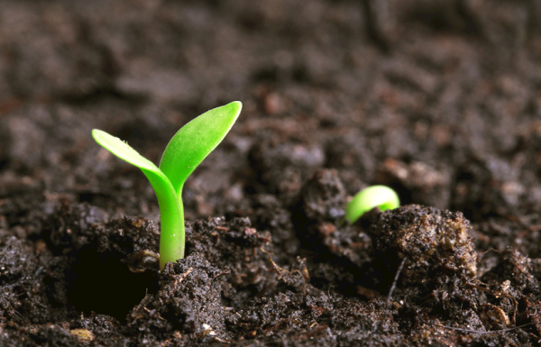 土壤墒情监测仪生产厂家哪家好?