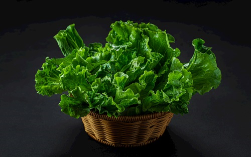 农残仪器:全自动农药残留物检测仪/多功能食品安全检测仪/农药残留快速检测仪