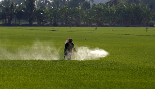 全自动农药残留检测仪的功能特点有哪些?
