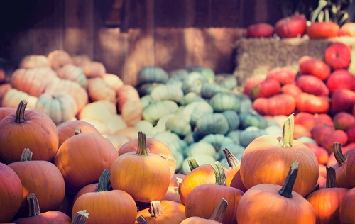 科学仪器的支持---农药残留检测仪对农业生产的重要性!