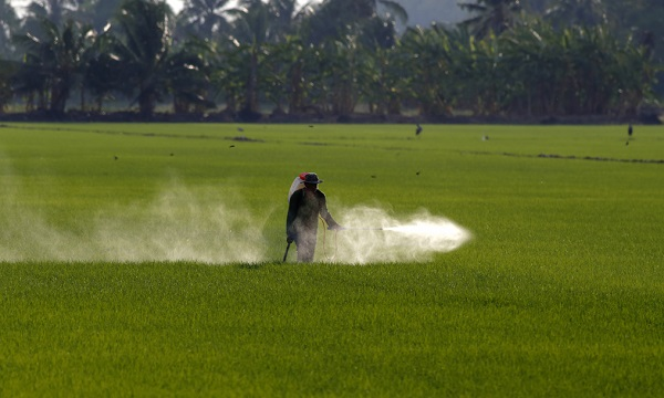 瓜果蔬菜的农药残留怎么规避?如何判断食品是否含有农药残留