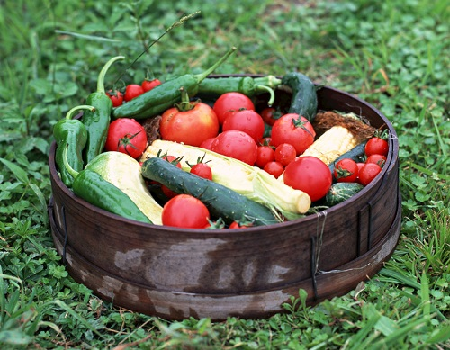 到底什么是农药残留超标?农药残留检测仪避免农药残留超标