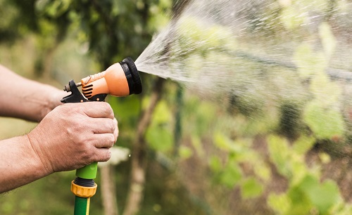 蔬果买回用农残检测仪测一测，食品安全更放心!