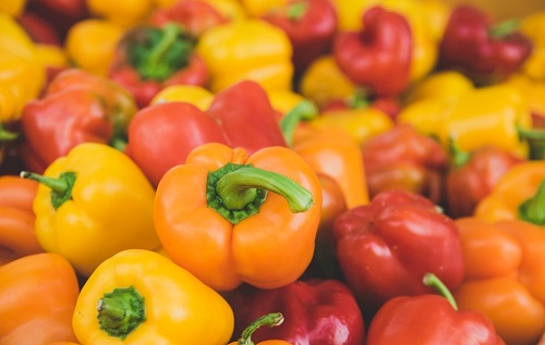 多功能食品安全检测仪器都配备哪些功能？