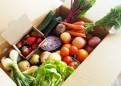 食品安全检测仪可有效提高质量抽检效率,为食品安全监督做出贡献