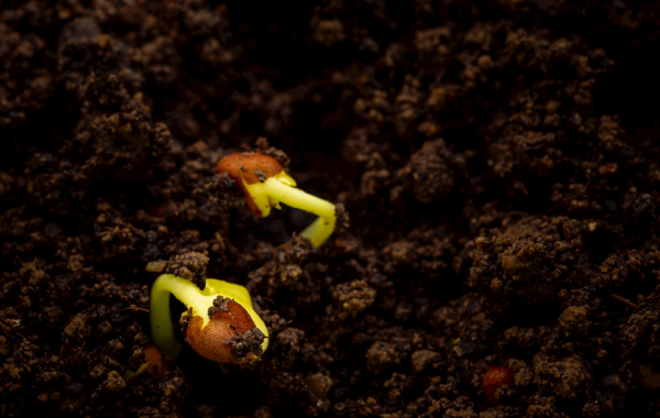 土壤研磨仪是什么？在选择土壤研磨仪时应该考虑哪些问题？