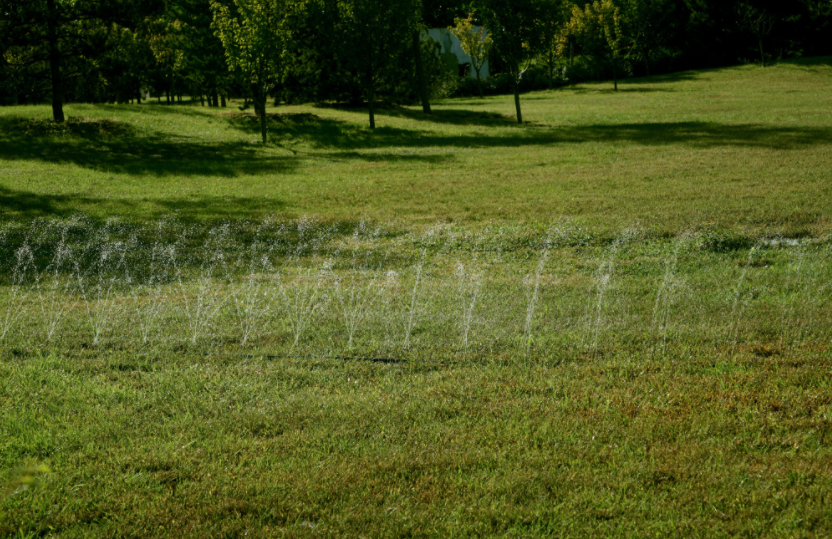 农田智能化：土壤水分测定仪实时评估土壤水分状况