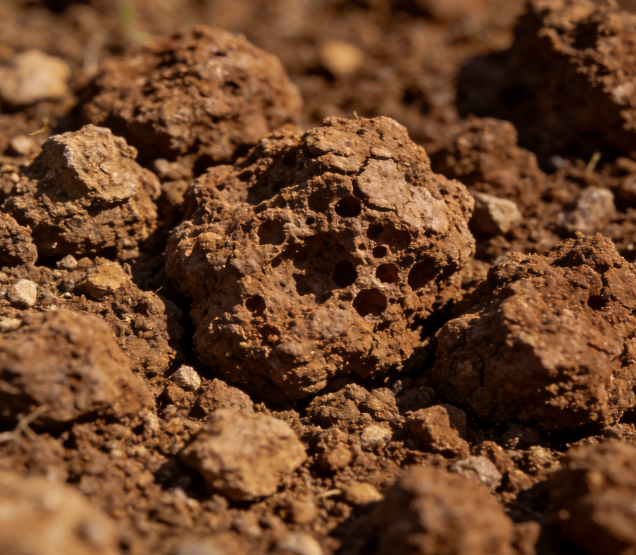 实验室土壤团粒分析仪哪家好?高精度品牌排名推荐